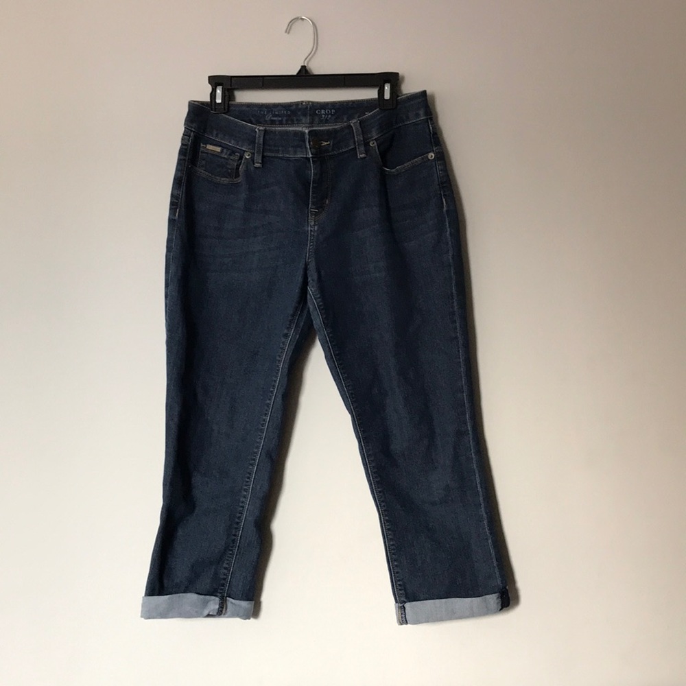The Limited Cropped Denim Jeans